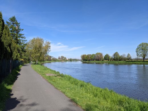 PXL_20210509_074656247