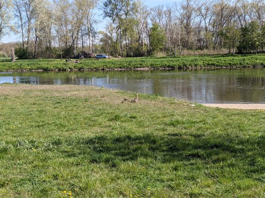 PXL_20210509_080338263