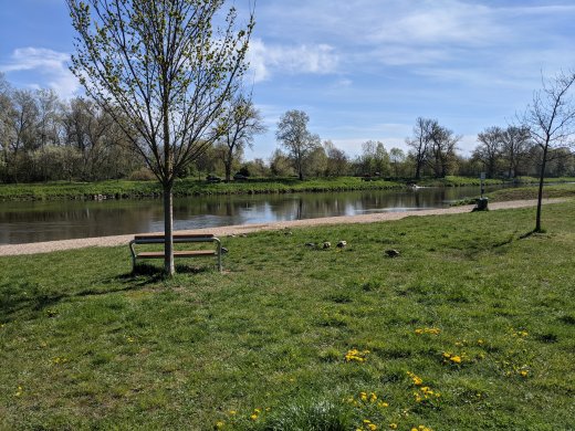 PXL_20210509_080344063