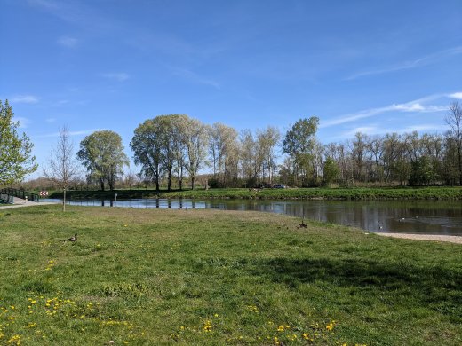 PXL_20210509_080351114