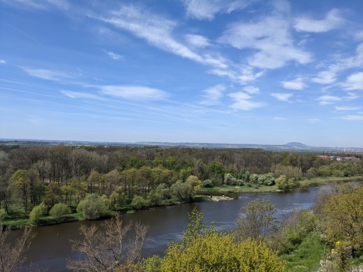 PXL_20210509_094623387