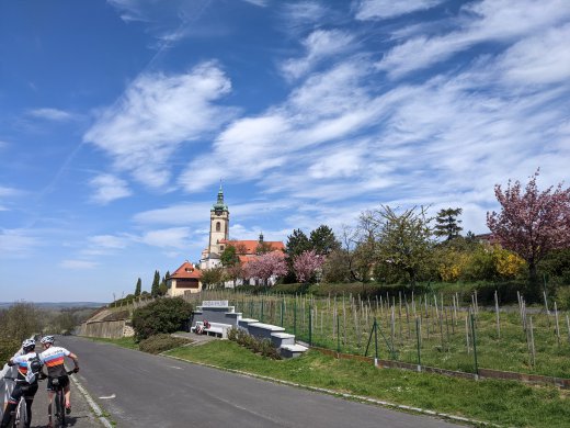 PXL_20210509_094628619