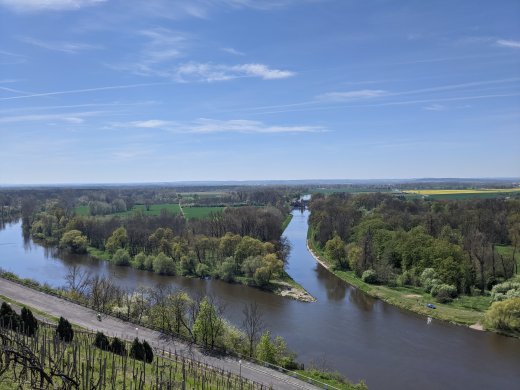 PXL_20210509_095410487