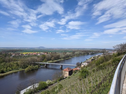 PXL_20210509_095425206