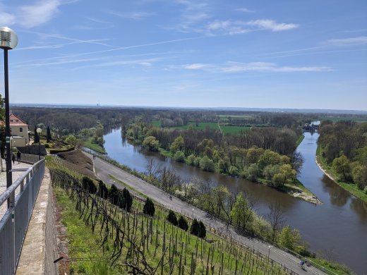 PXL_20210509_095548662