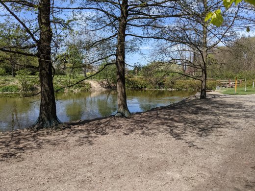 PXL_20210509_104125561