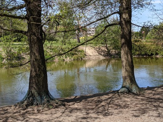 PXL_20210509_104132927