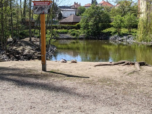 PXL_20210509_104308676