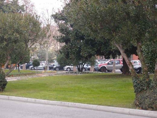 OLYMPUS DIGITAL CAMERA