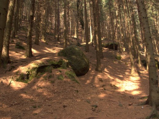 OLYMPUS DIGITAL CAMERA