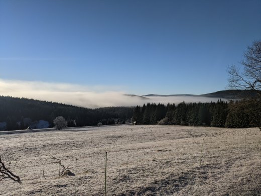 PXL_20201219_081828479