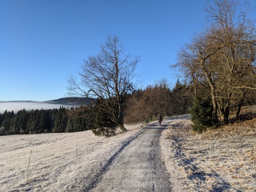 PXL_20201219_081833928