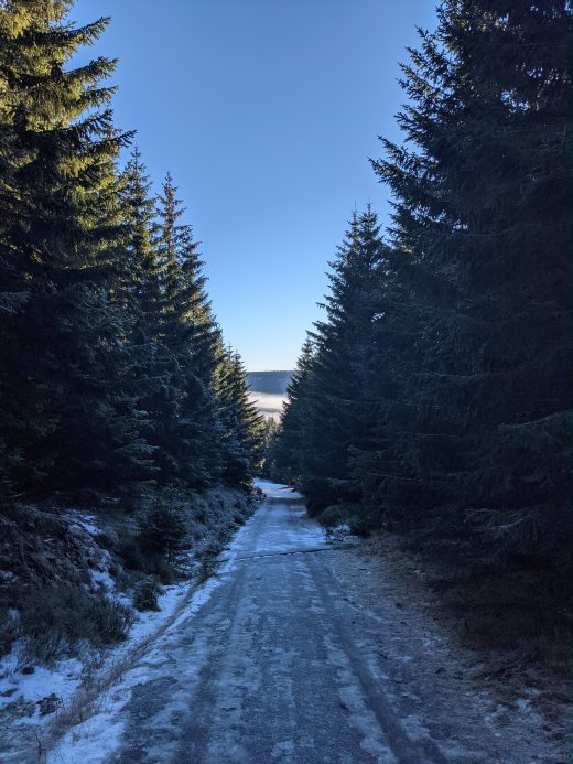 PXL_20201219_084349754