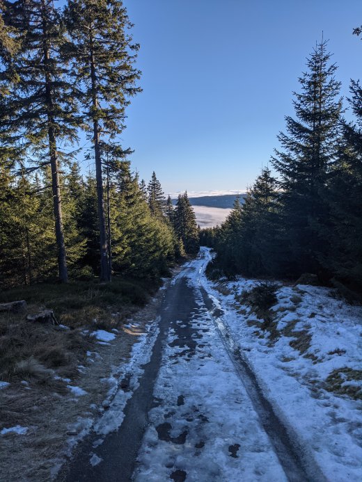 PXL_20201219_085444787