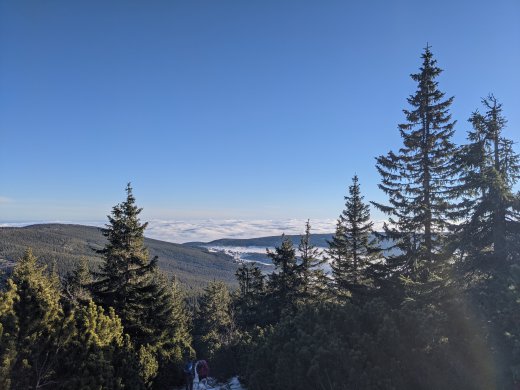 PXL_20201219_091403658