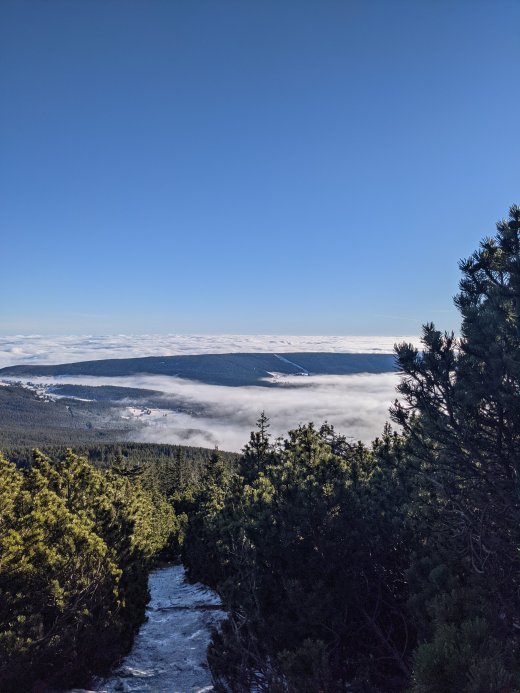 PXL_20201219_091946986