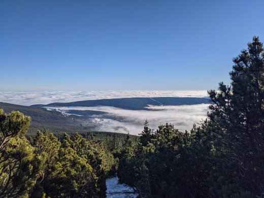 PXL_20201219_091951298