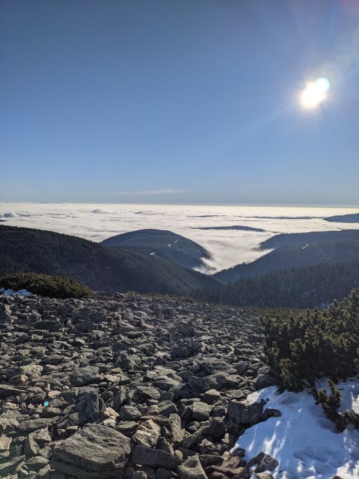 PXL_20201219_095201624