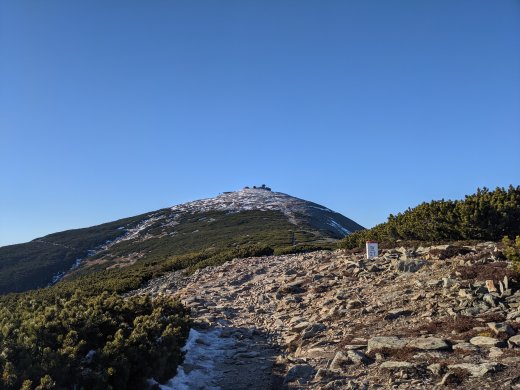 PXL_20201219_095214281