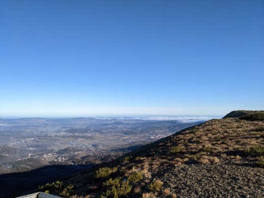 PXL_20201219_100003528