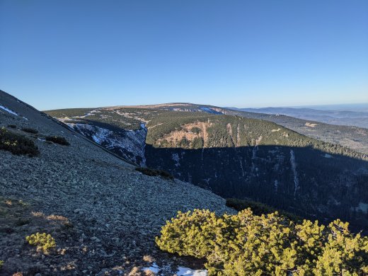 PXL_20201219_100029576