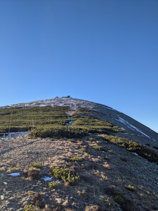 PXL_20201219_100033613