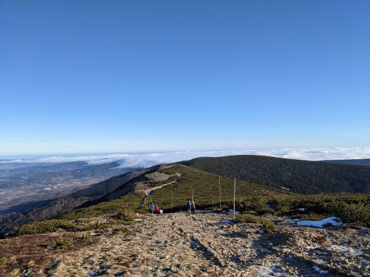 PXL_20201219_100724151