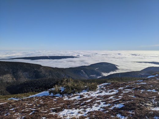 PXL_20201219_101849839