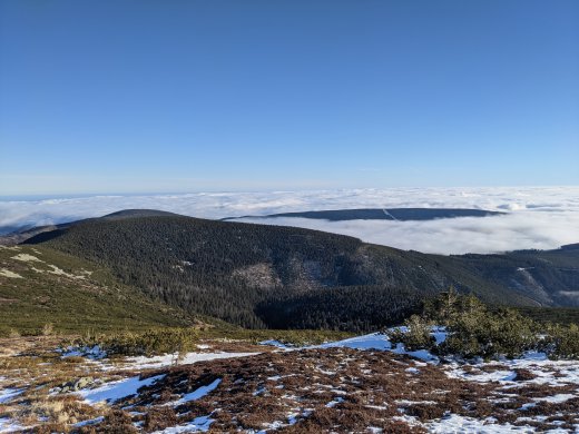 PXL_20201219_101852826