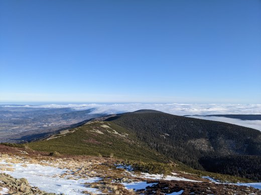 PXL_20201219_101916102