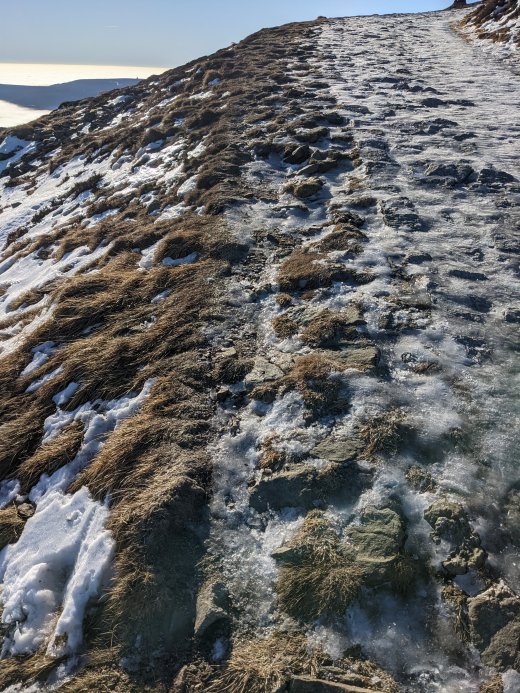 PXL_20201219_102248271