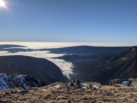 PXL_20201219_104156607